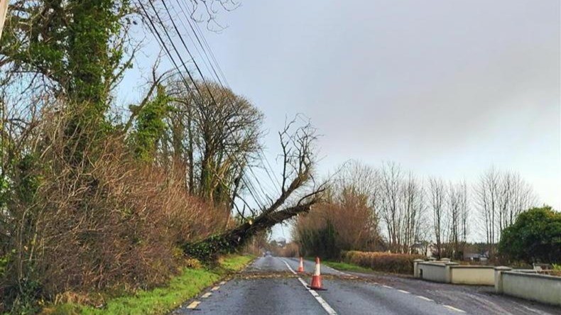 Greater than the sum of their parts: why the aftermath of Storm Darragh highlights overlooked disaster scenarios in Ireland